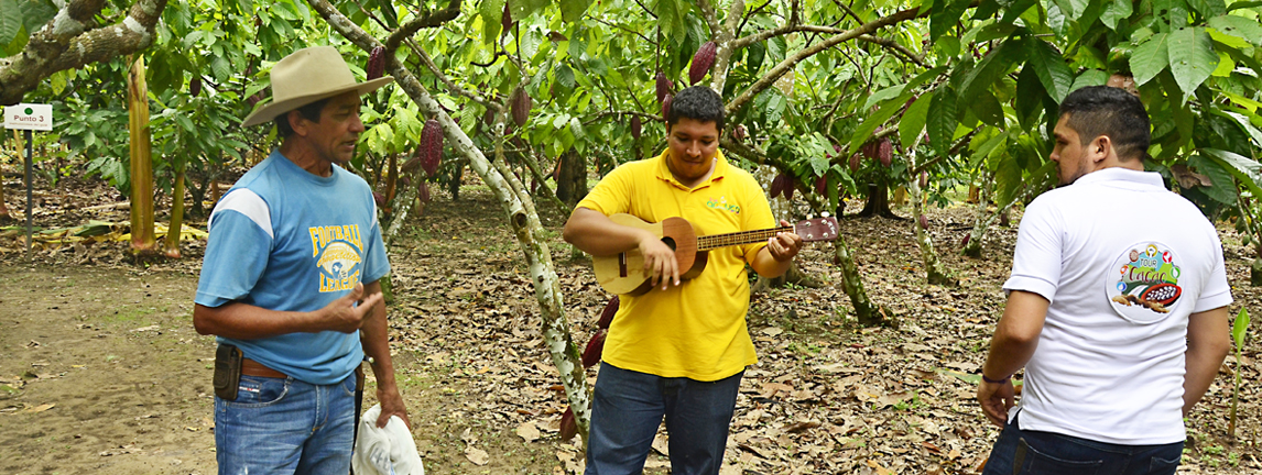 Cultivo-de-Cacao-Colombia