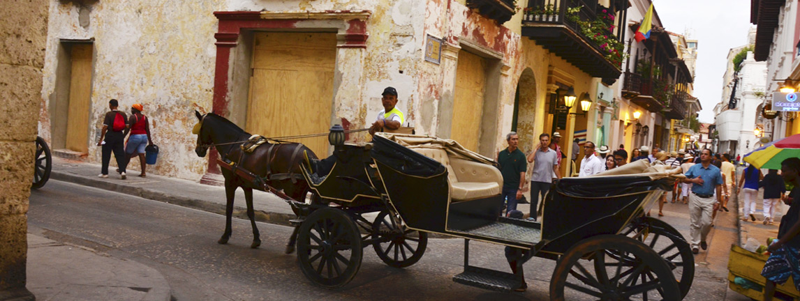 Cultivos-de-Sustitución-al-Cacao