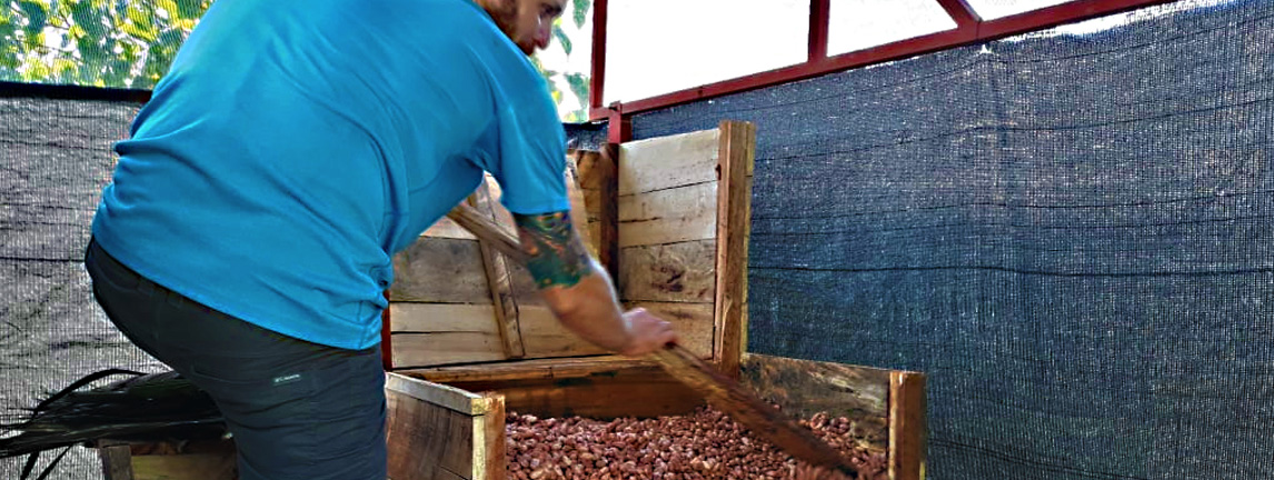 Fermentación-de-Cacao