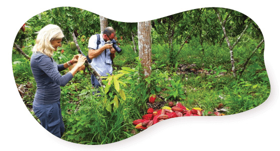 Cacao-en-Pauna-Boyacá